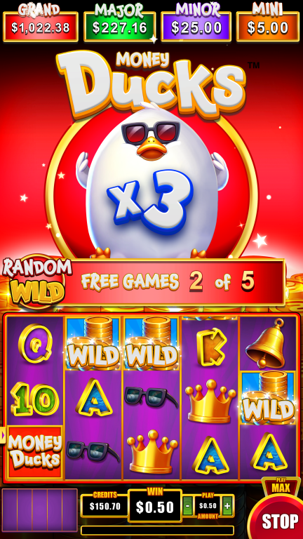 Money Ducks 5x3 screenshot